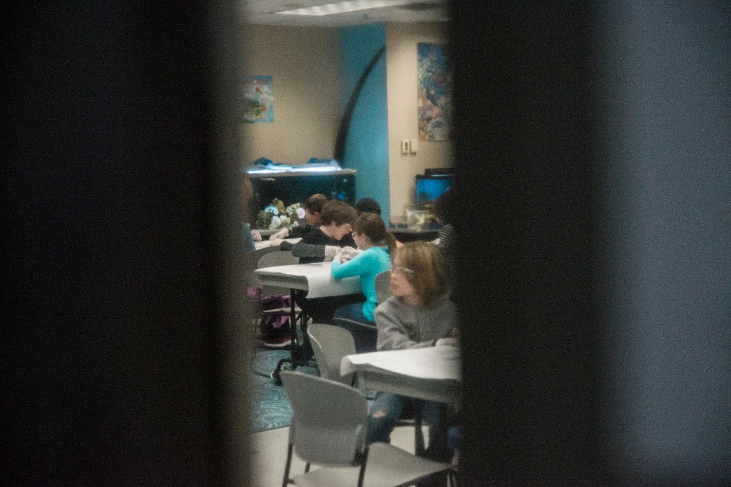 Kate works on dissecting her squid during Denver Aquarium's Homeschool Day in March. See more of our Week in the Life of an Unschooler on the blog :) 