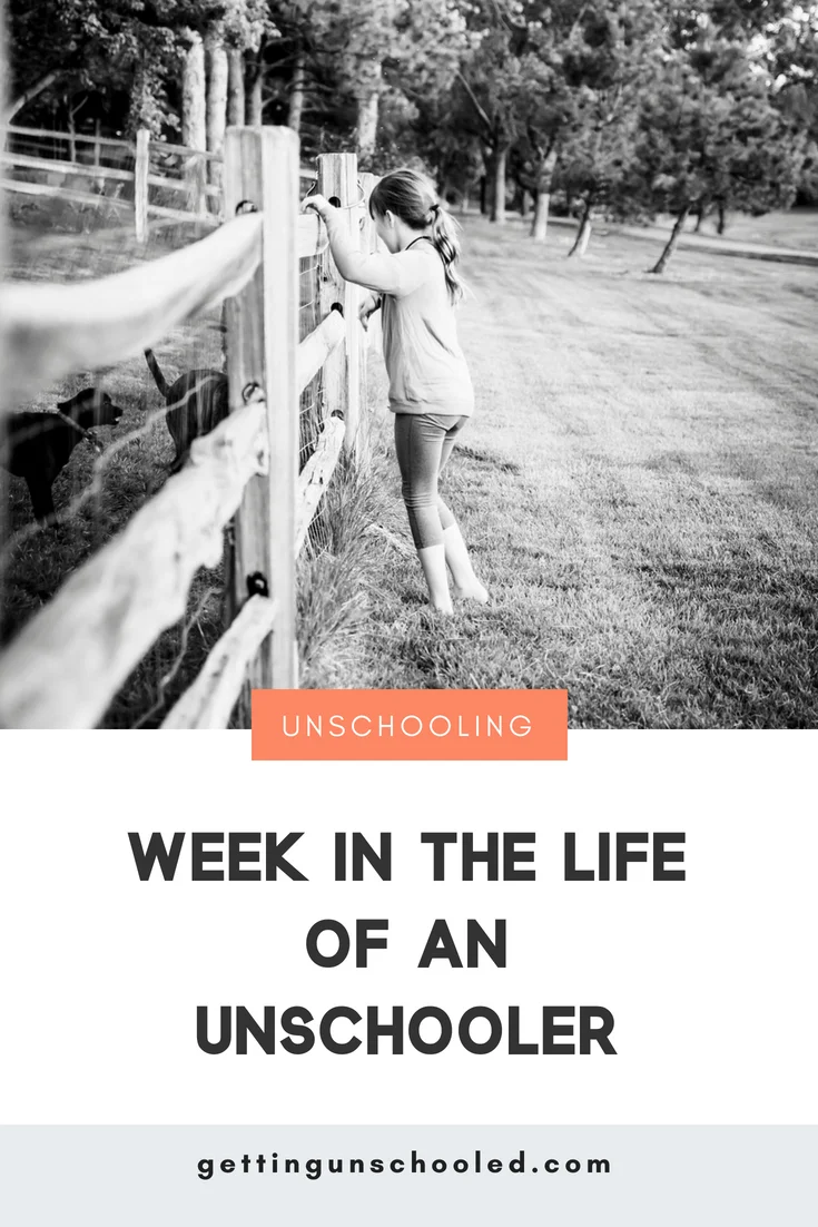 Great series on Unschooling! This isn't a post telling you how to unschool--it's just how we unschool our kids! And maybe to give you some homeschooling inspiration if you're wondering why homeschooling is good :) | Getting Unschooled #unschooling #homeschool #homeschooltips #howtounschool