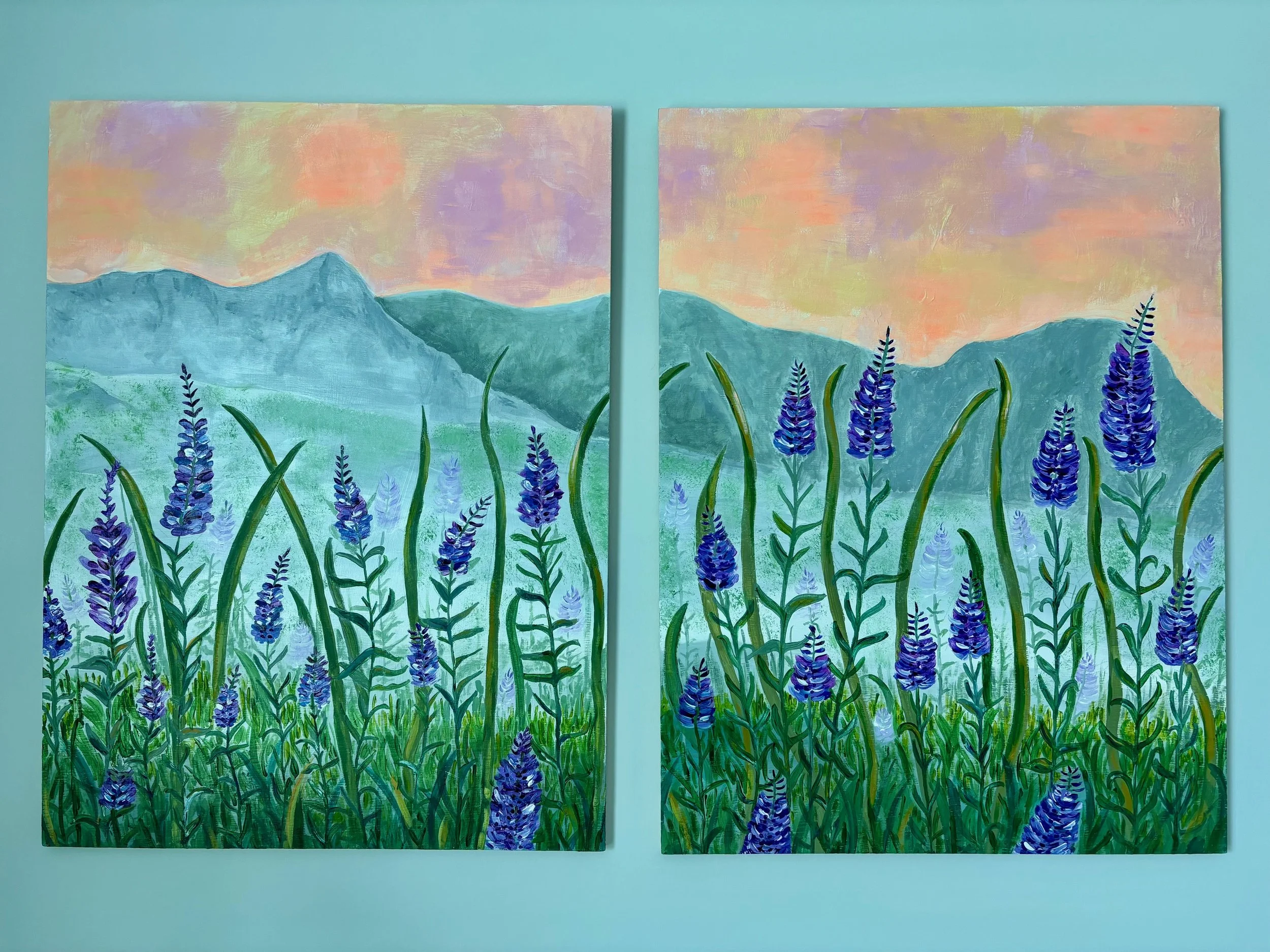 Lavender  Field 