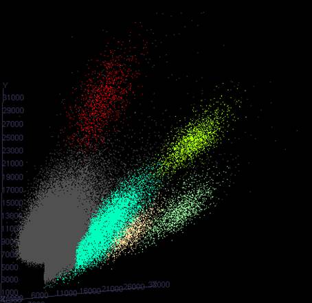 Clustered cells recorded in the amygdala