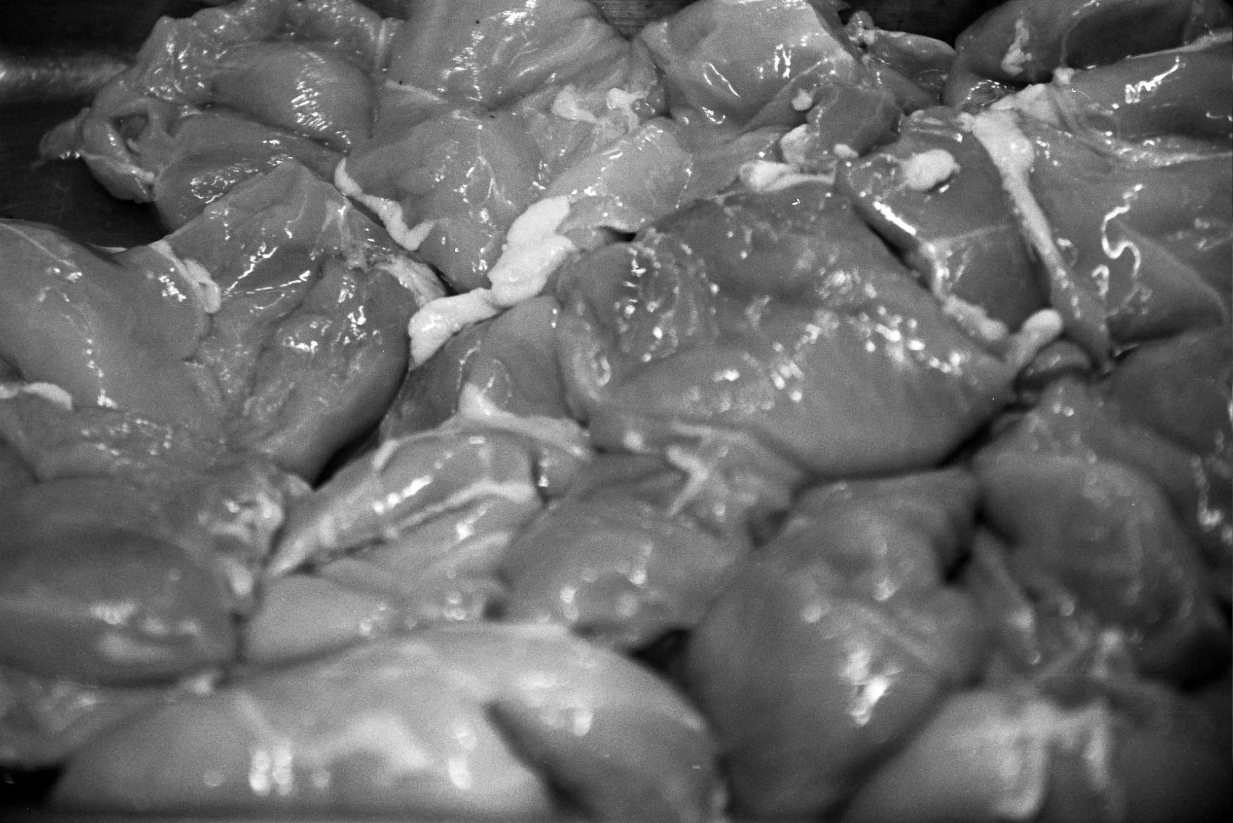 Close-Up of Breasts