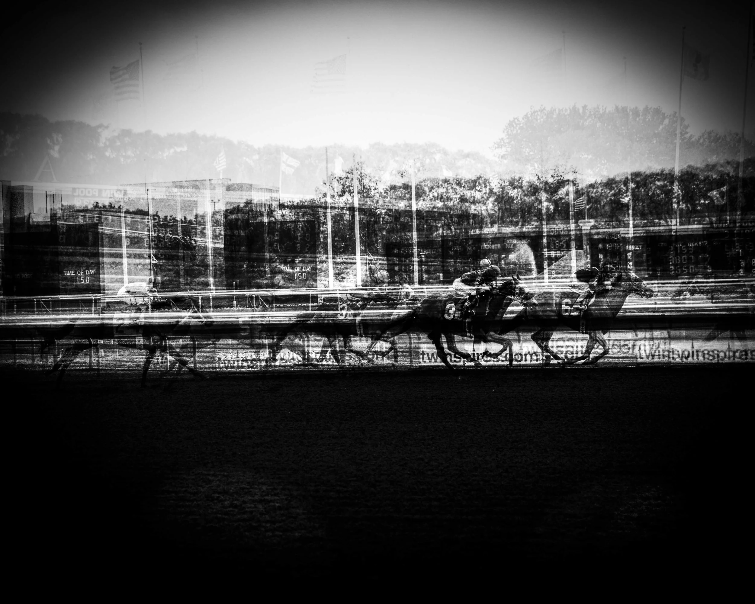 Horses in Motion, 2016