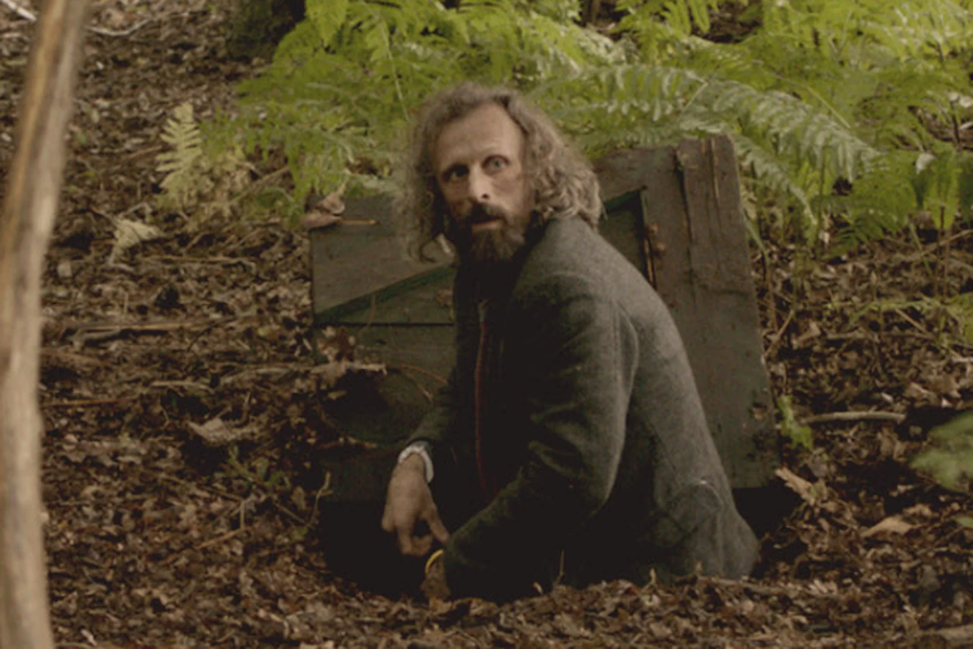 borgman.jpg