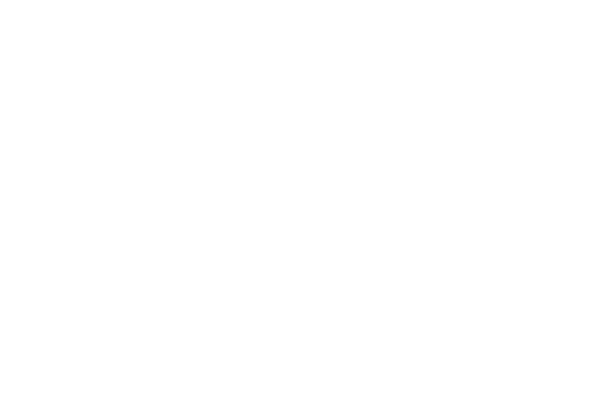 Sprint.png