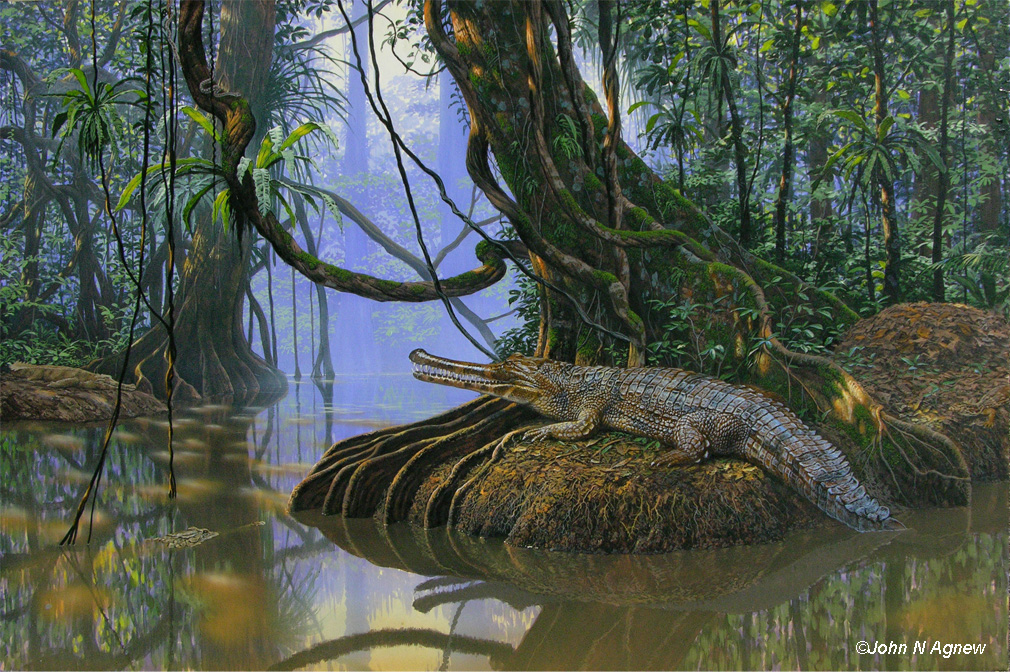 Tomistoma_72 copy.jpg