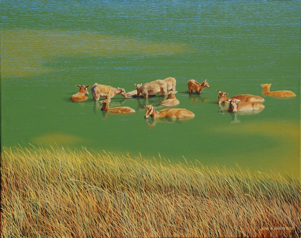 15. Bathing Deer.jpg