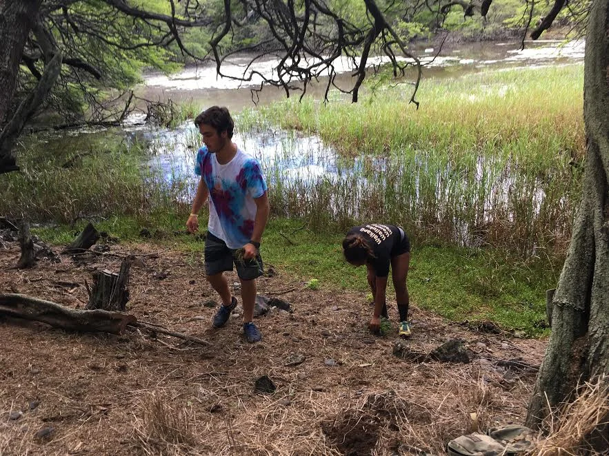 Seabury Hall students help remove invasive species at the Nuu Refuge, Maui