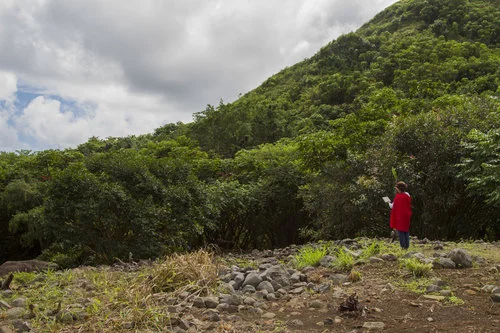 Maunawila Heiau, Hau ʻ ula O ʻ ahu -- Maunawila Blessing Ceremony. Photo Credit: Courtesy of Franz Schmutzer.