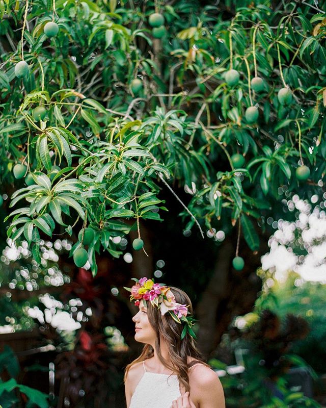 &ldquo;Happy is the bride that the sun shines on&rdquo; - Robert Herrick☀️