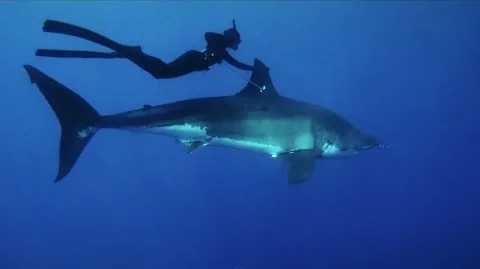 Variables with Kimi Werner