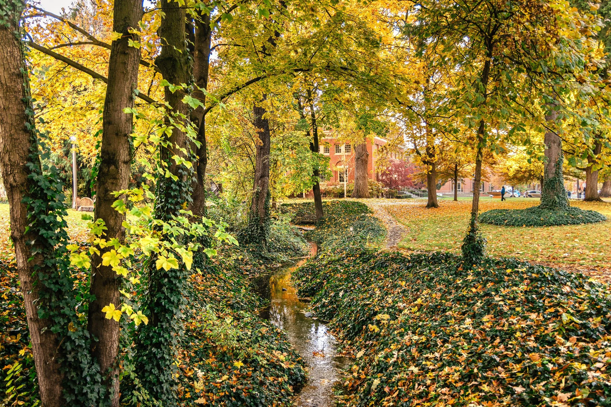 2025_VisitWW_05_Variable_WhitmanCollege_0010 s2100 q75 S.jpg