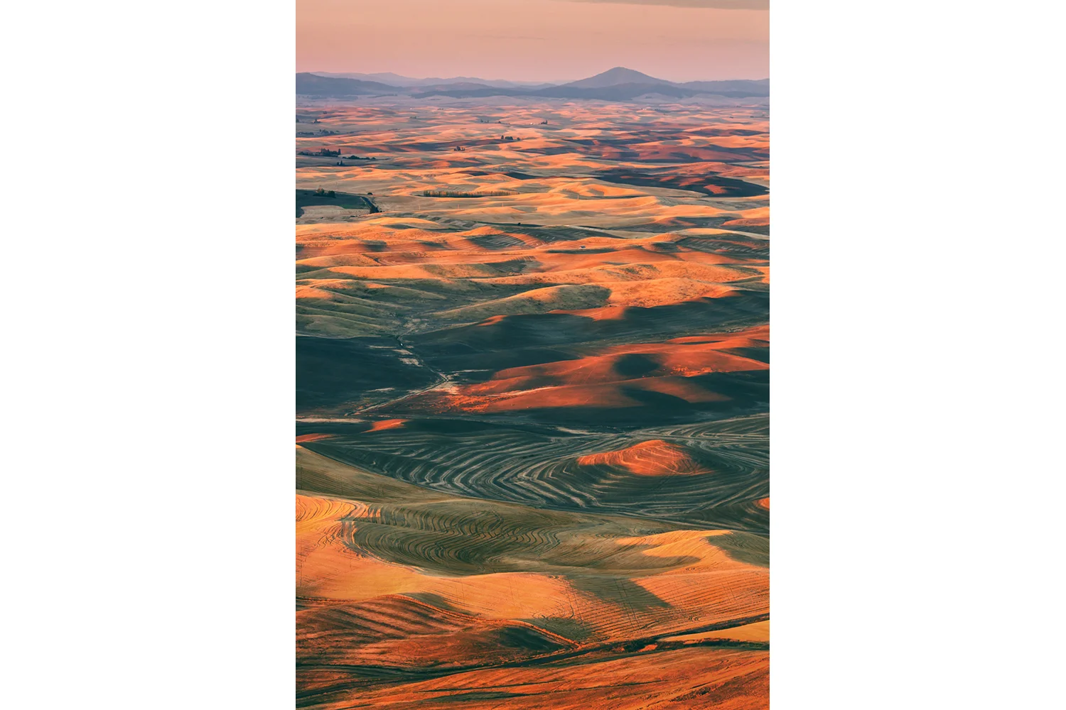 Steptoe Layers