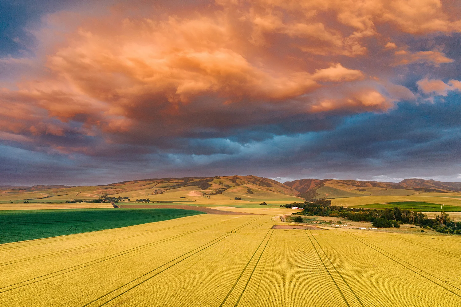 Fields and Fire