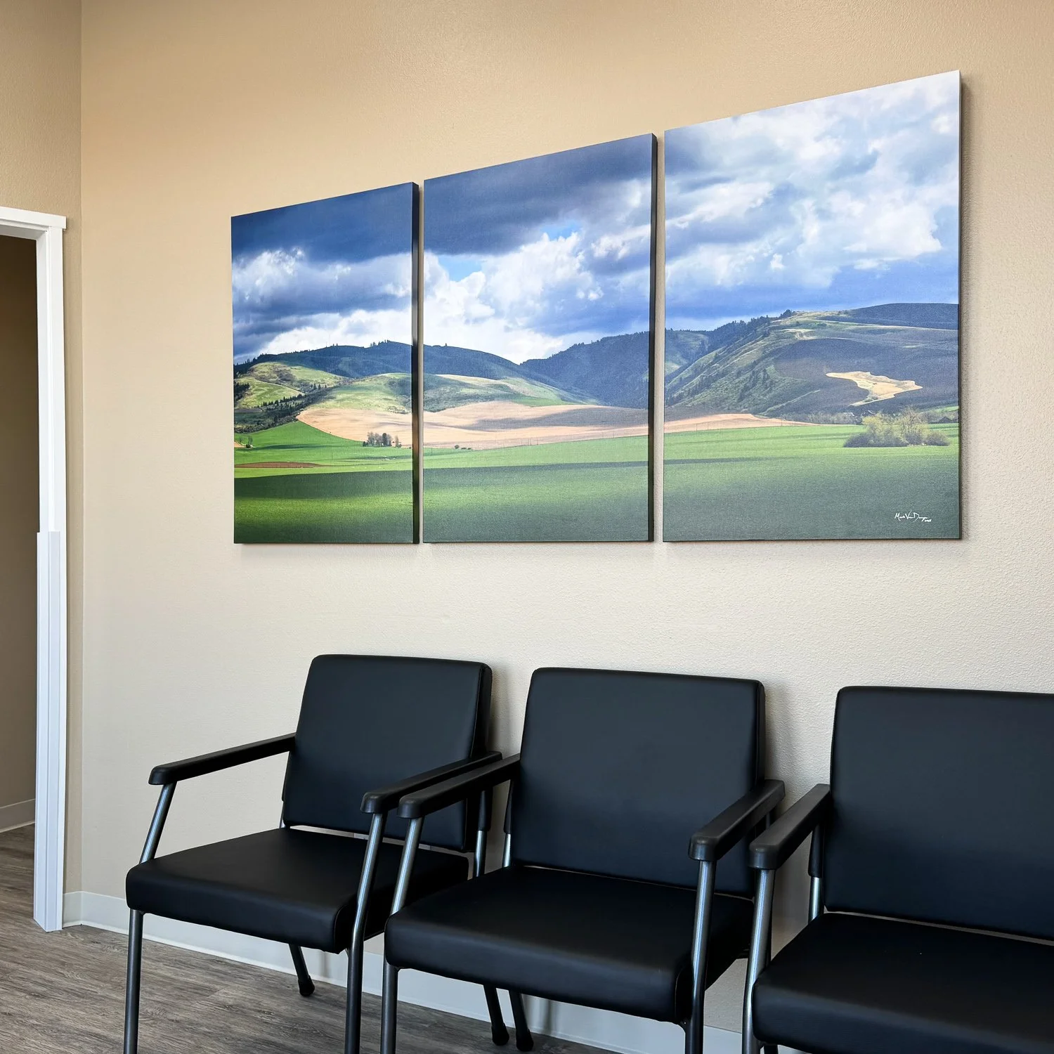 2025-01-28 12.29.03 s1500.jpg