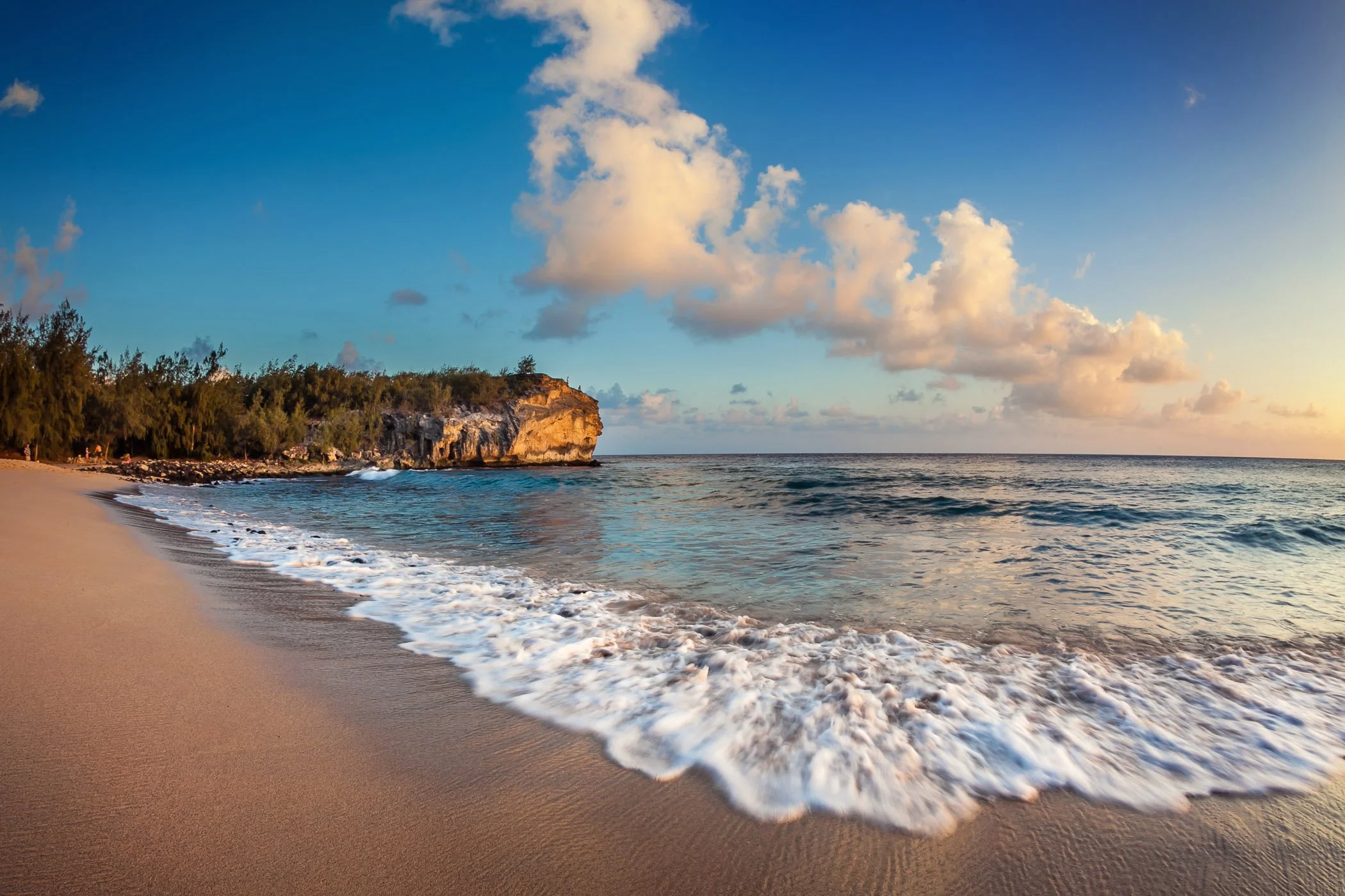 2012_Kauai_0171 s2100 q75 S.jpg