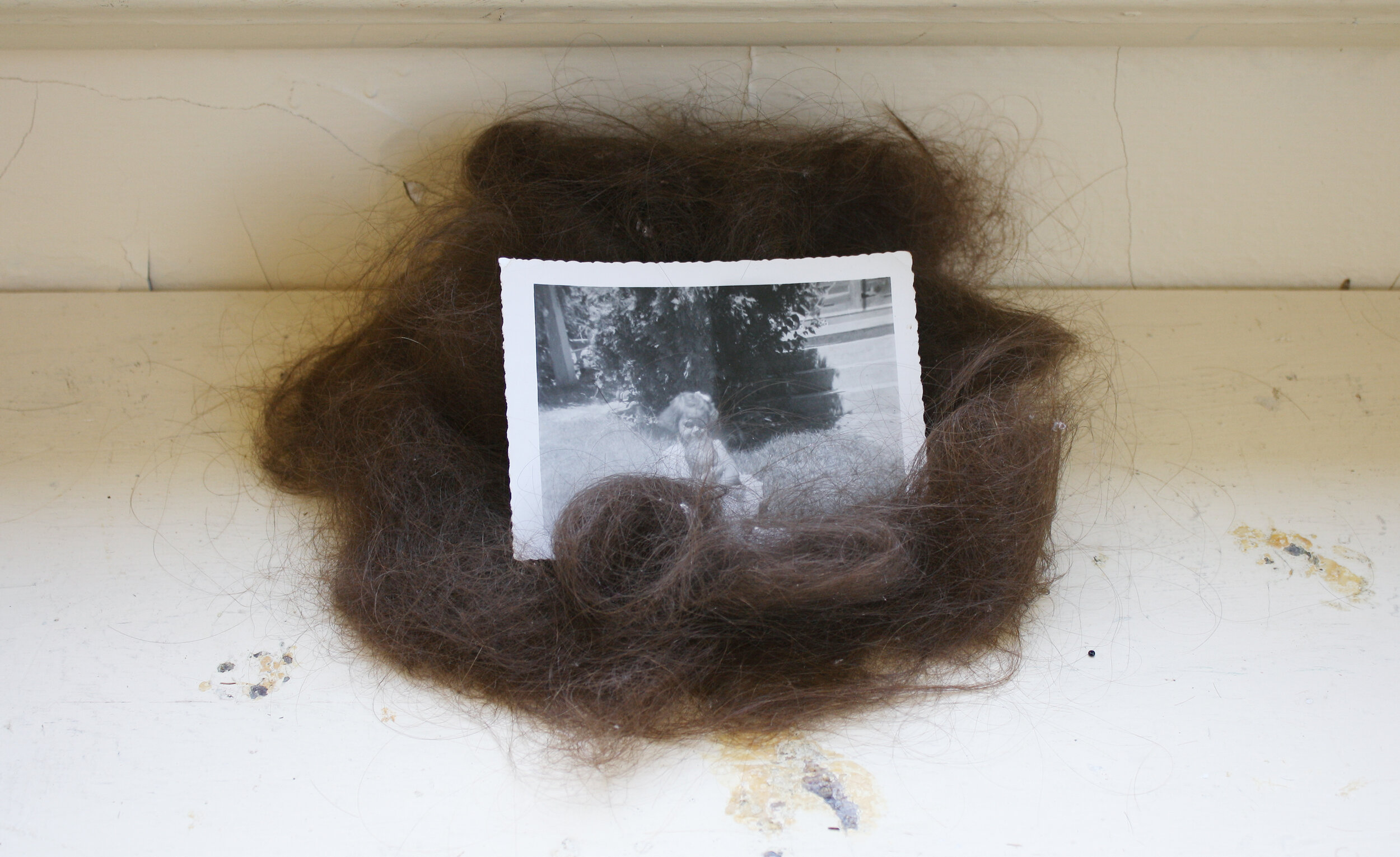  Family Photos and Mixed Media Installation, 2019 (created during Centrum’s Emerging Artist Residency in Fort Worden State Park) 