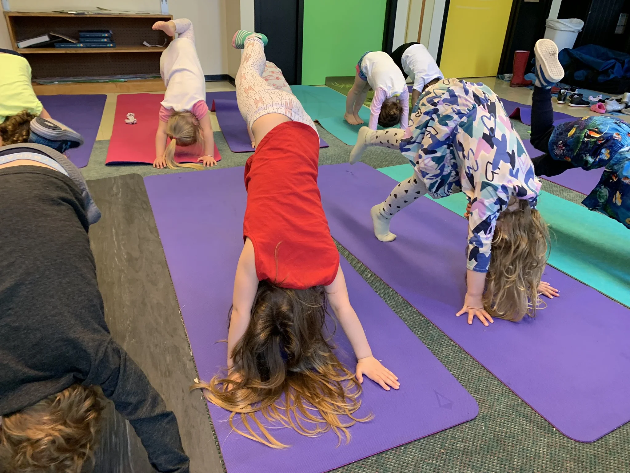 Little downward dogs!