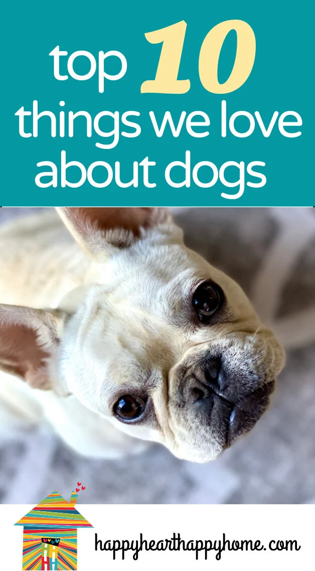 Do Our Dogs Know We Love Them