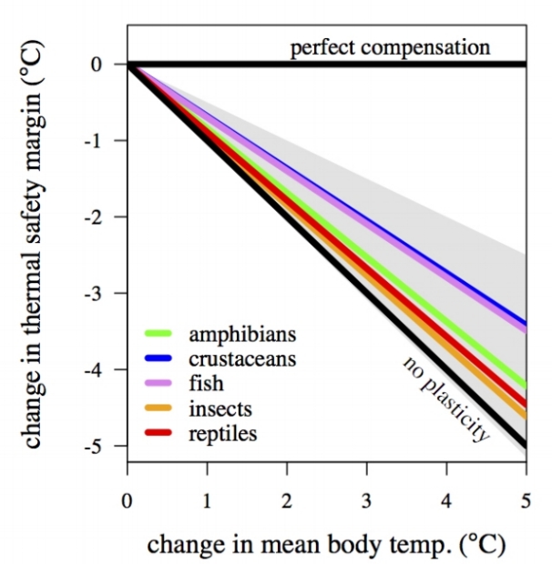 Acclimation in the heat tolerance of ectotherms does not fully compensate for rising temperatures. From Gunderson & Stillman 2015 Proc. Roy. Soc. B.
