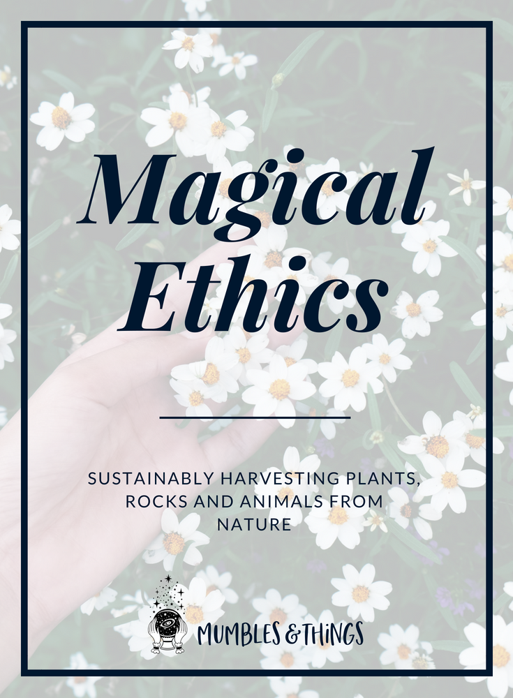 magical-ethics-sustainable-harvest-blog.png