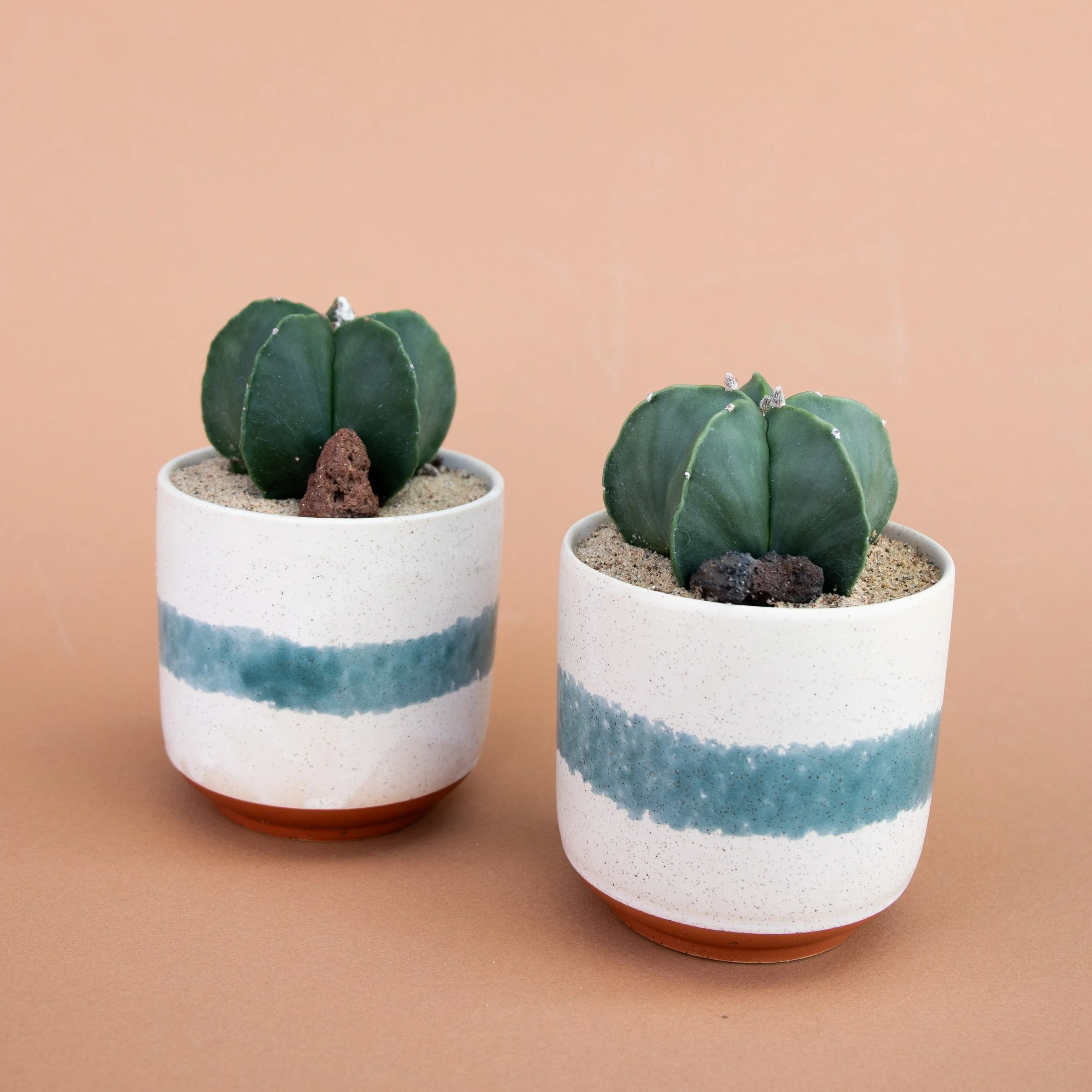 Fall Collection-2025-9.jpg