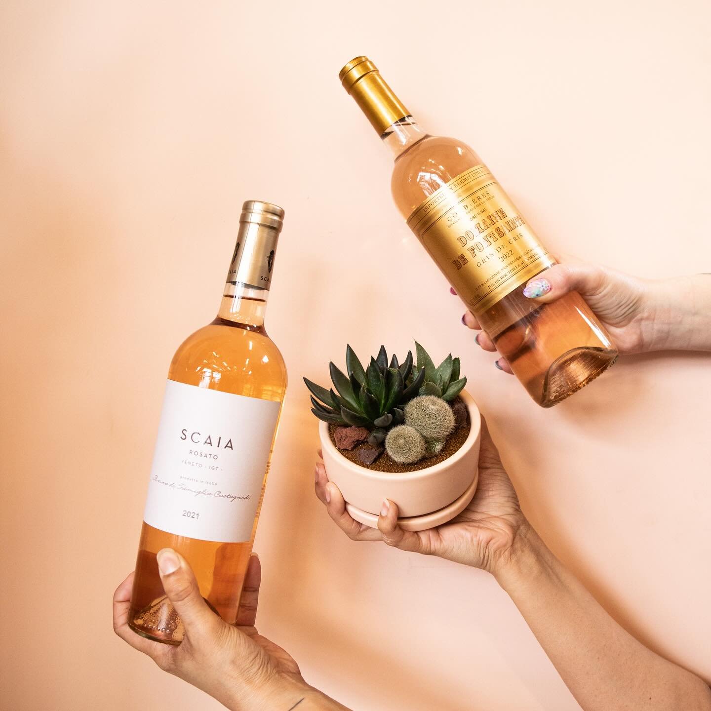 Ros&eacute; &amp; Succulents: Wine Tasting &amp; Potting Workshop ✨🌸🌵

We are bringing our wine tasting and succulent potting events back by popular demand! We are excited to announce our next collaboration with John Ospina from @cellardreams is on