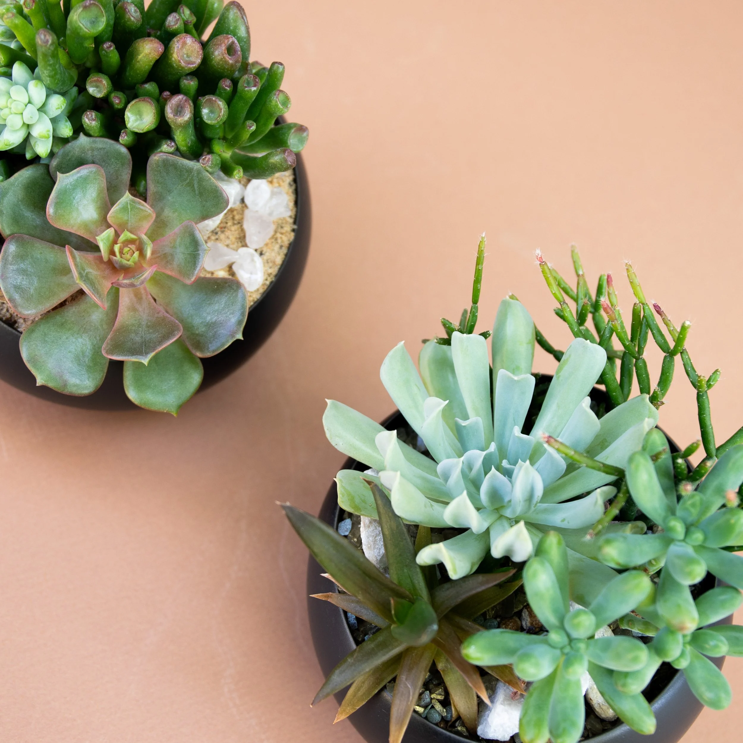 Fall Collection-2025-5.jpg