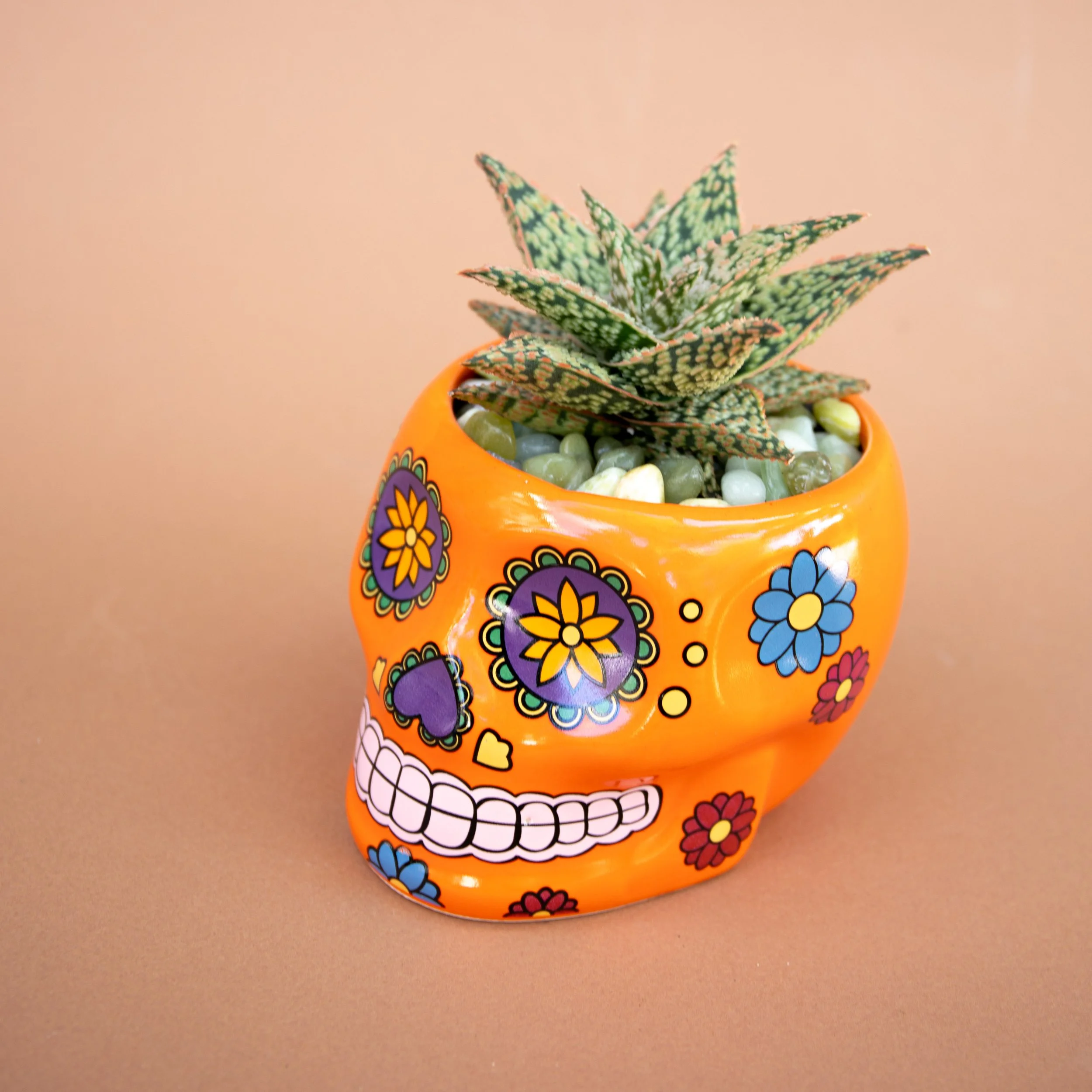 Fall Collection-2025-17.jpg