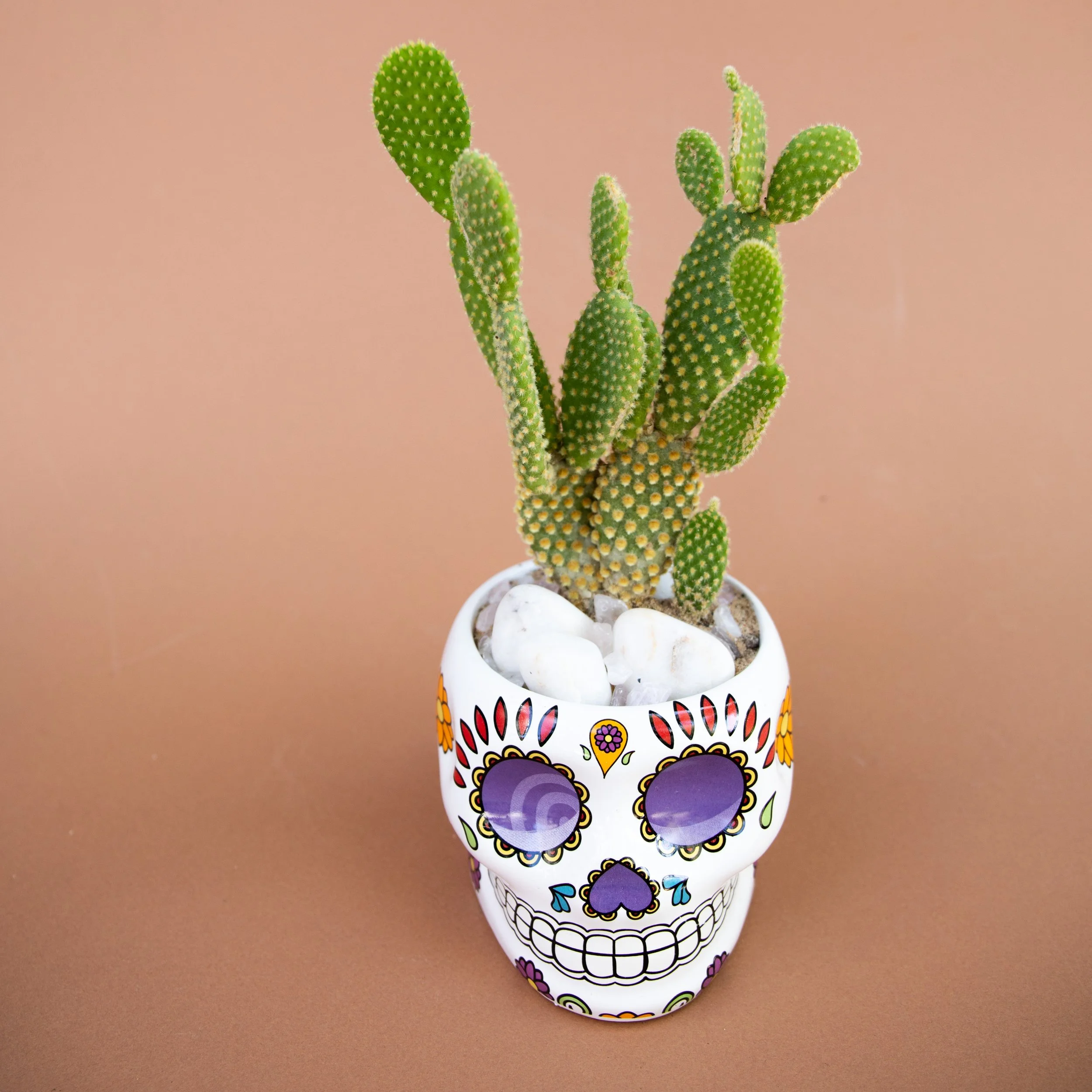 Fall Collection-2025-15.jpg