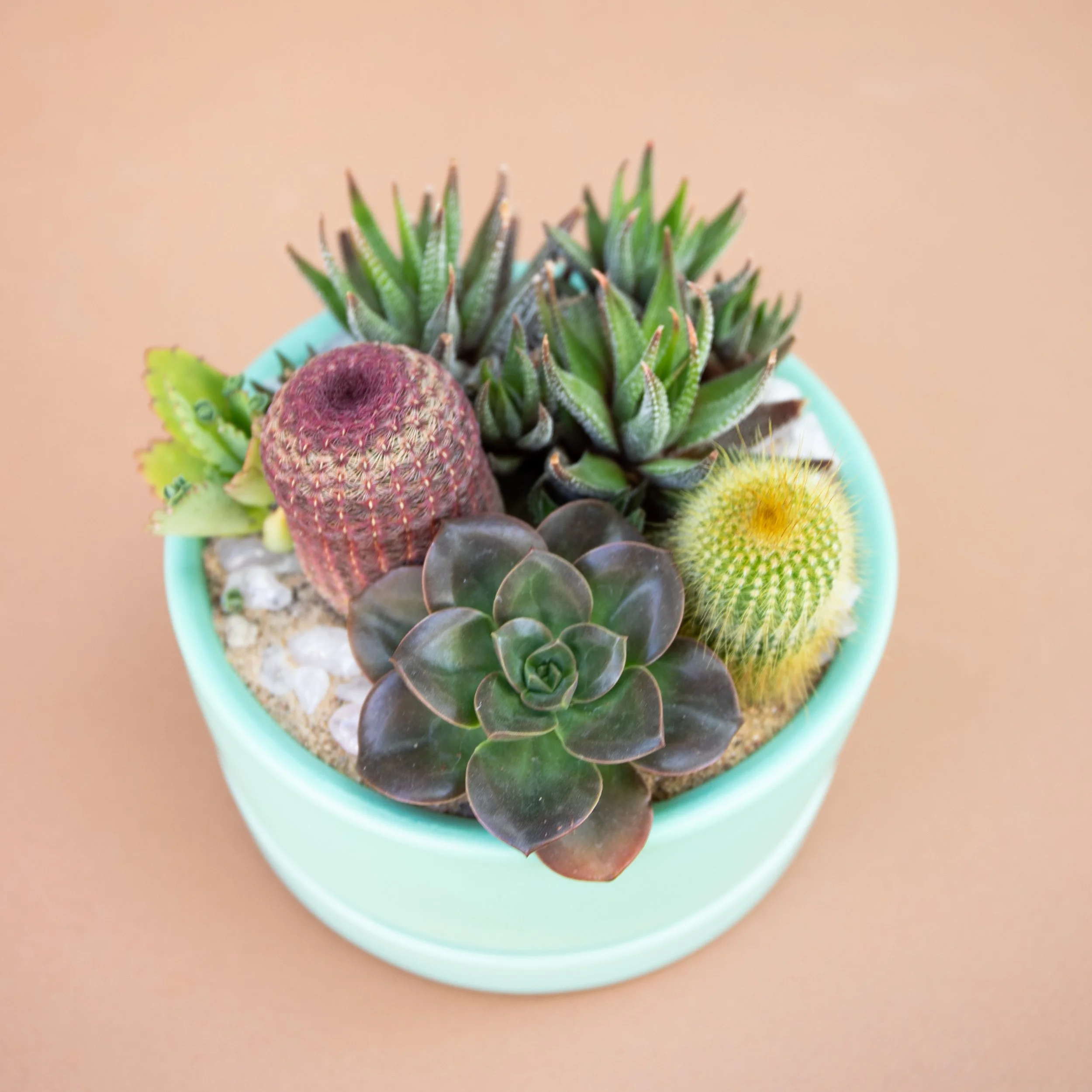 Fall Collection-2025-4.jpg