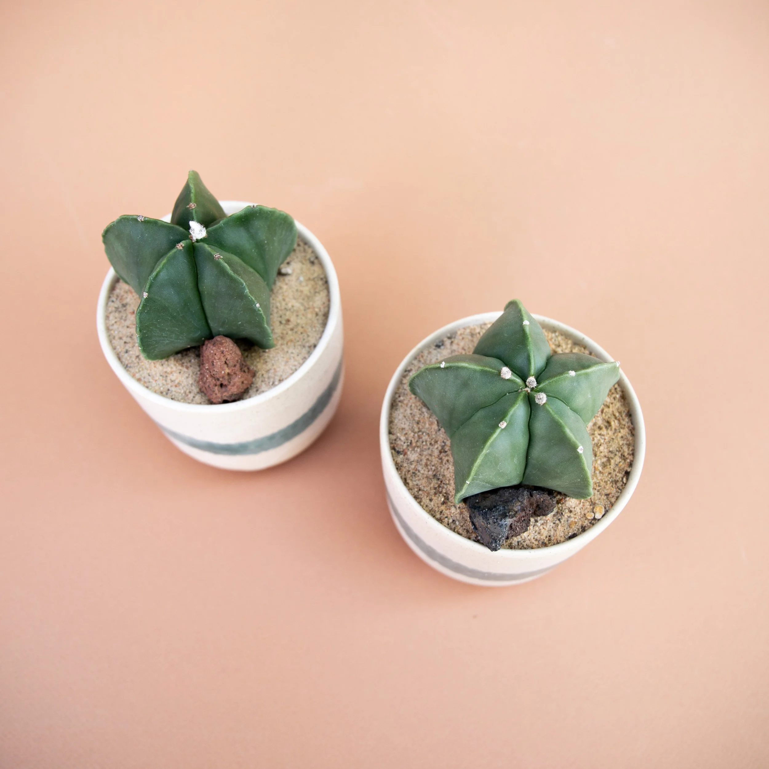 Fall Collection-2025-10.jpg