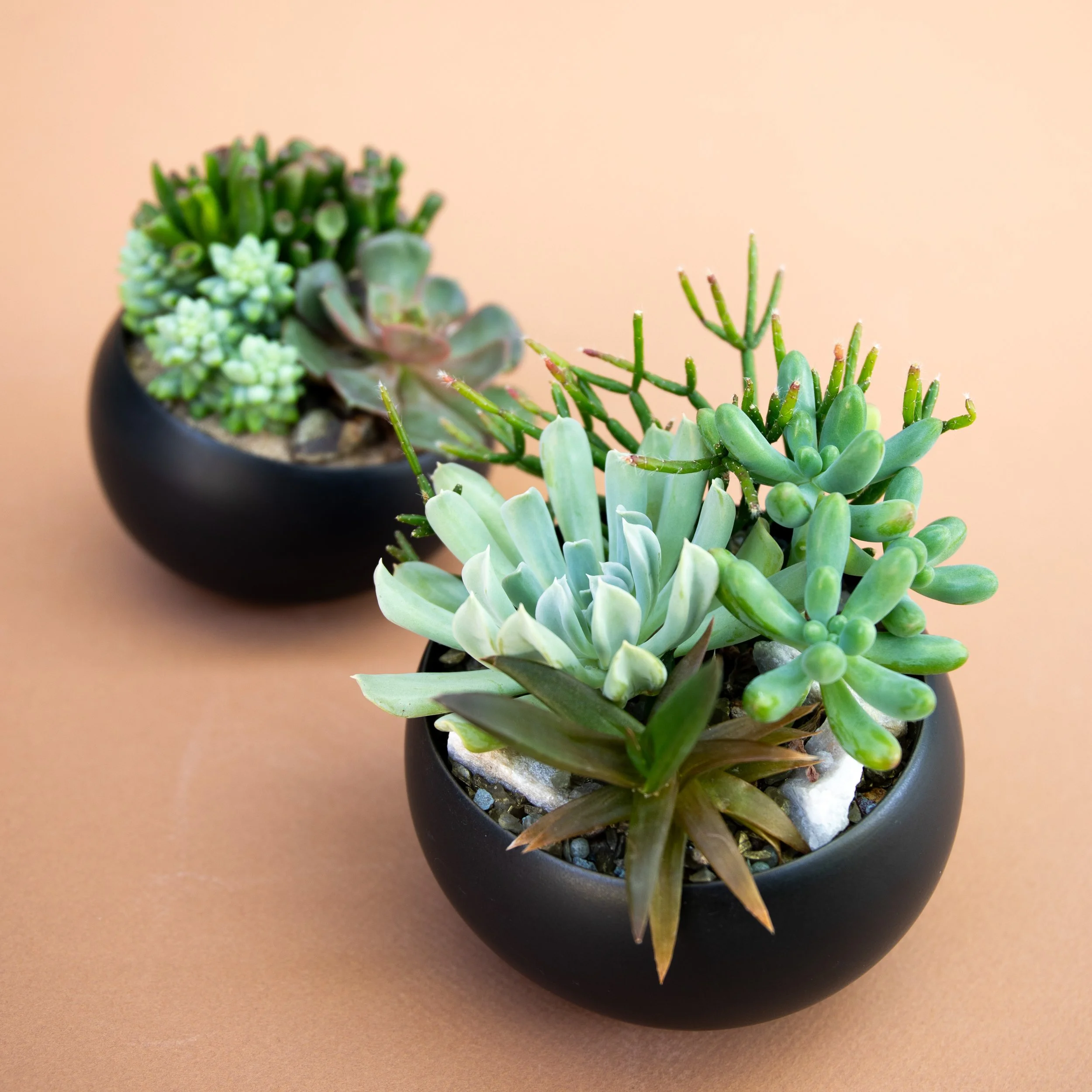 Fall Collection-2025-7.jpg