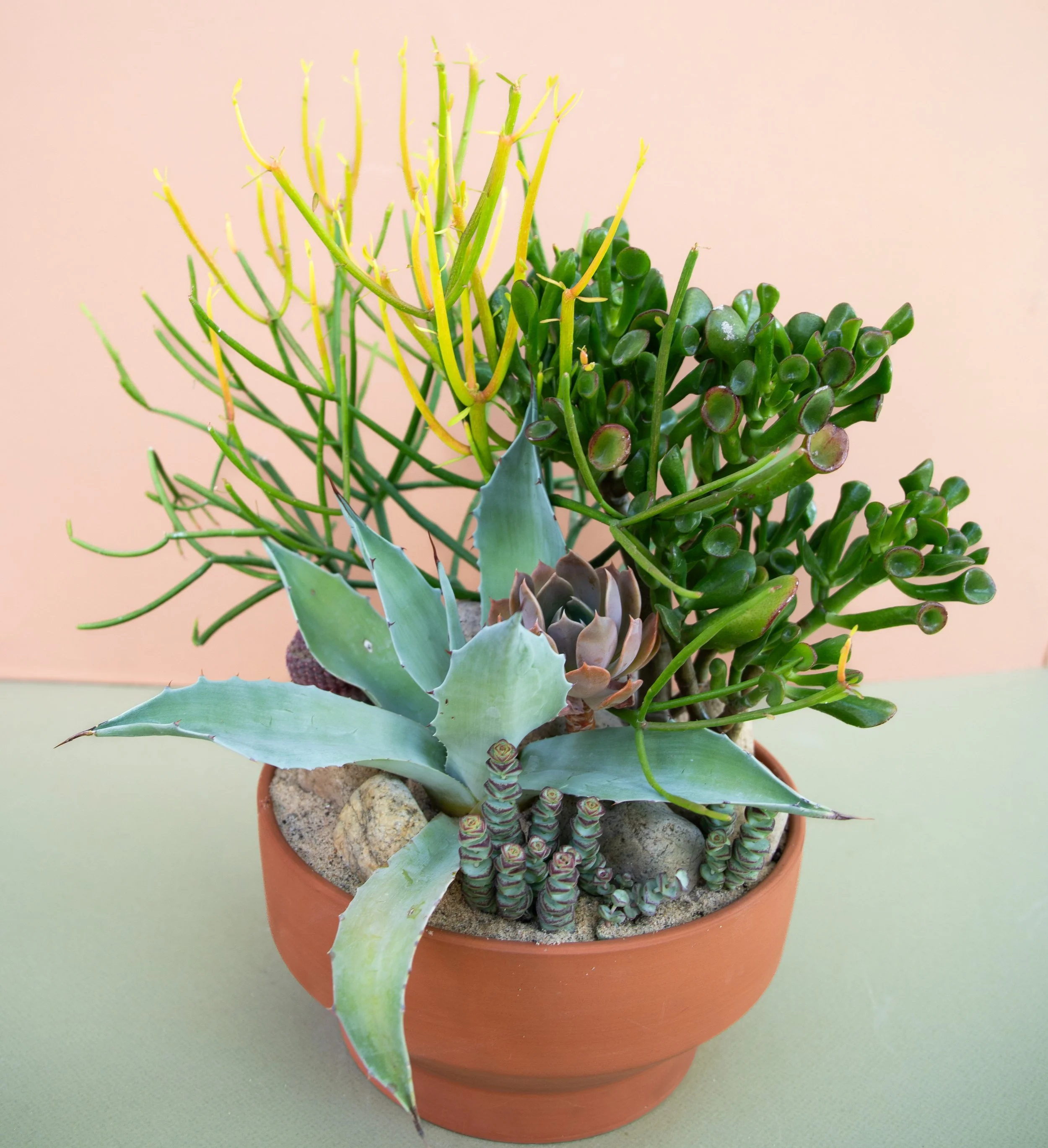 Fall Collection-2025-8.jpg