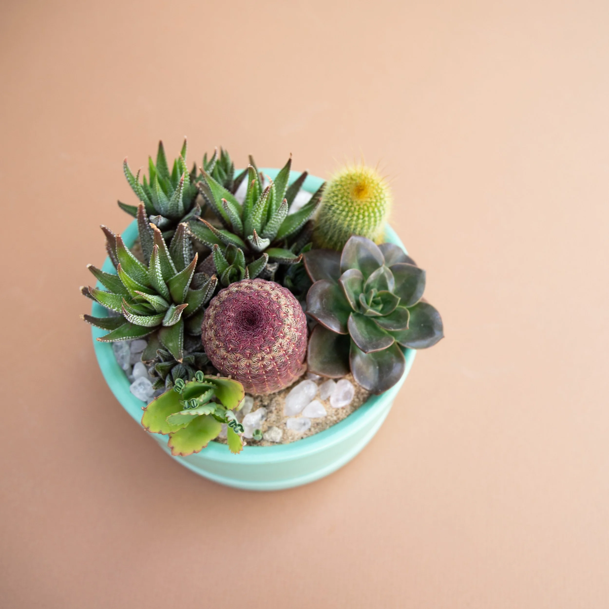 Fall Collection-2025-3.jpg