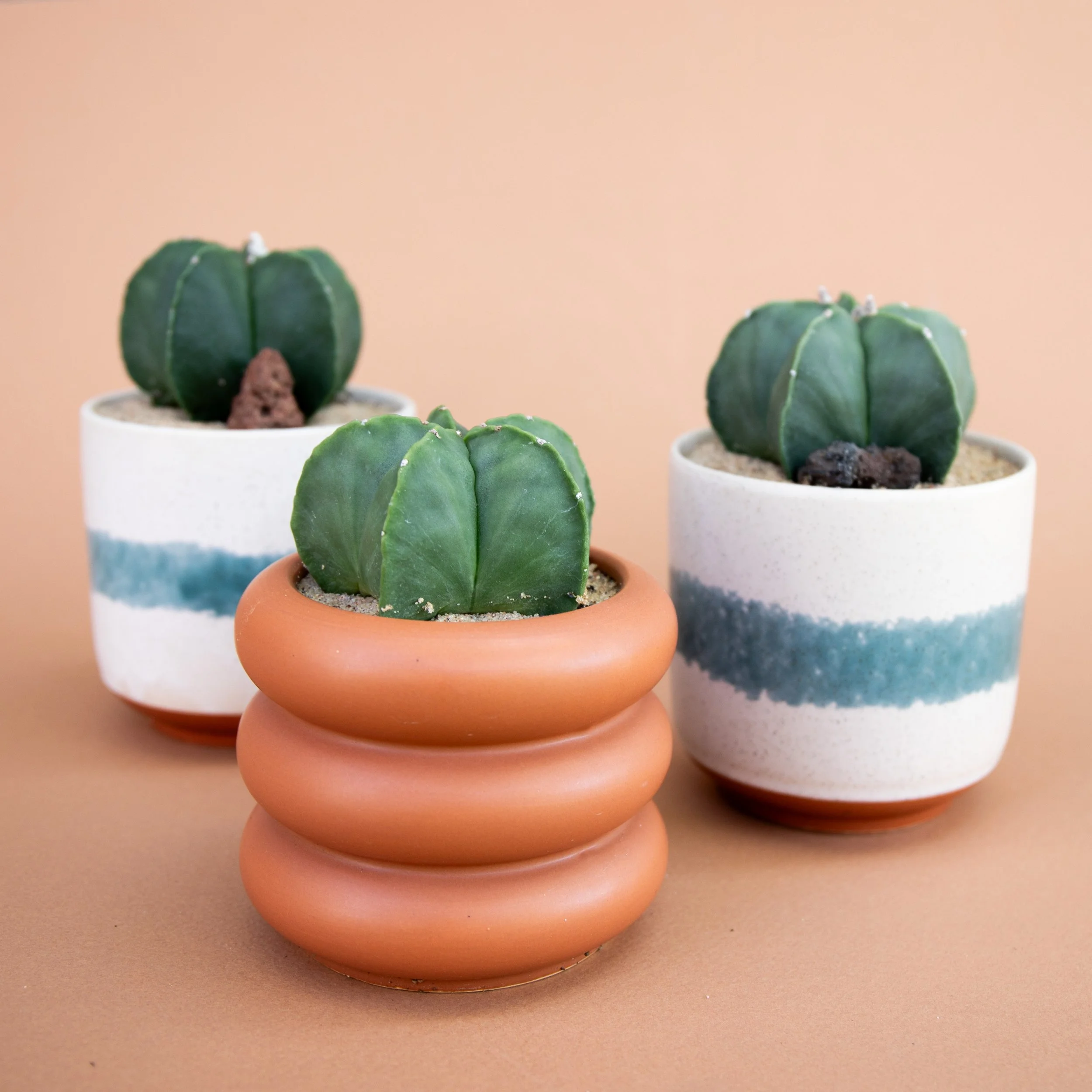 Fall Collection-2025-11.jpg