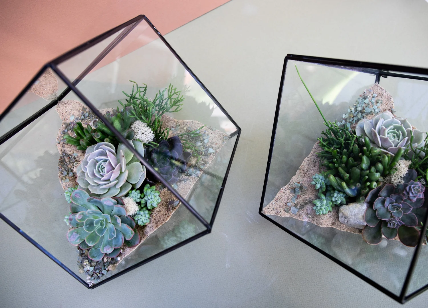 Geometric Glass Succulent Terrarium  A Succulent Day