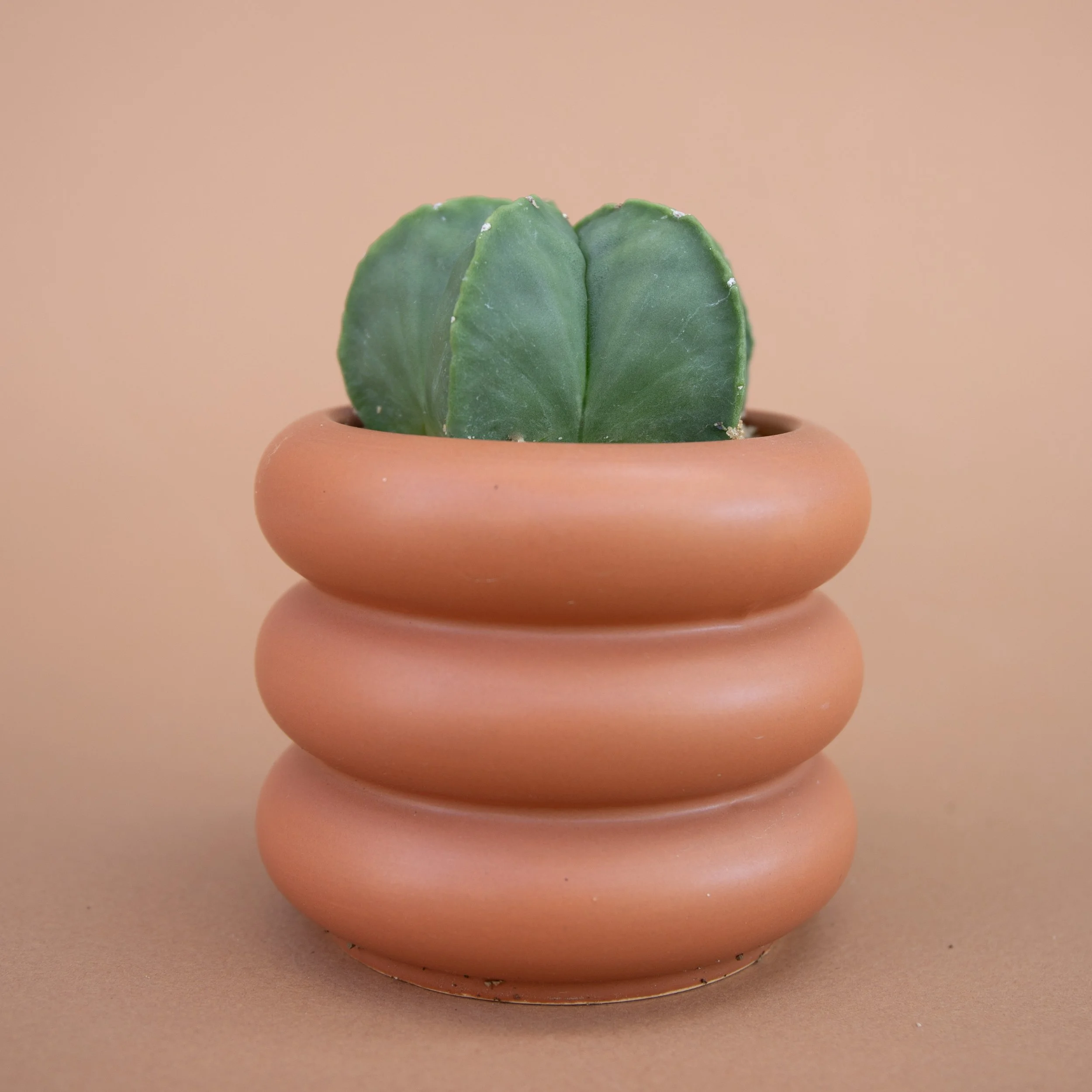 Fall Collection-2025-12.jpg