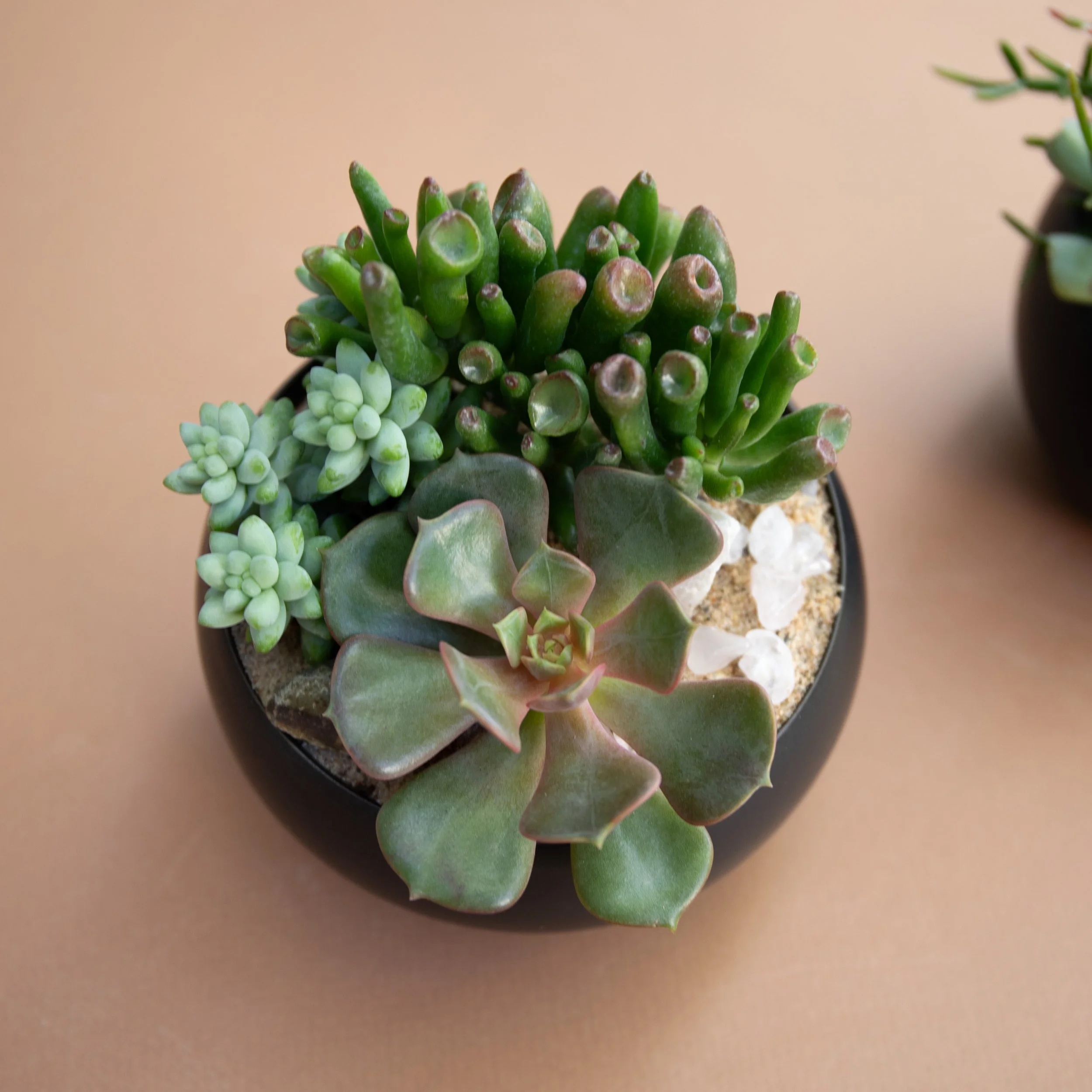 Fall Collection-2025-6.jpg