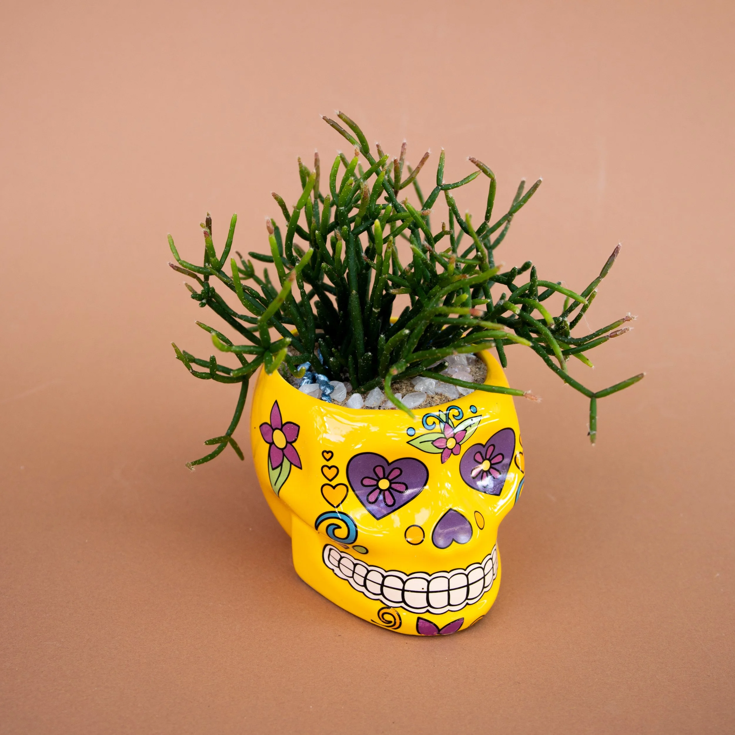 Fall Collection-2025-16.jpg