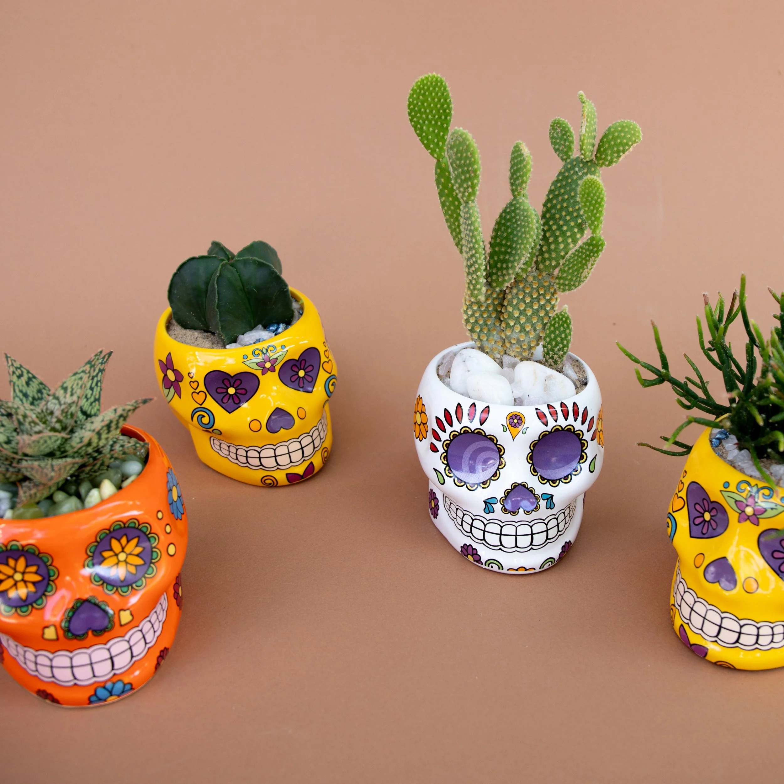 Fall Collection-2025-14.jpg