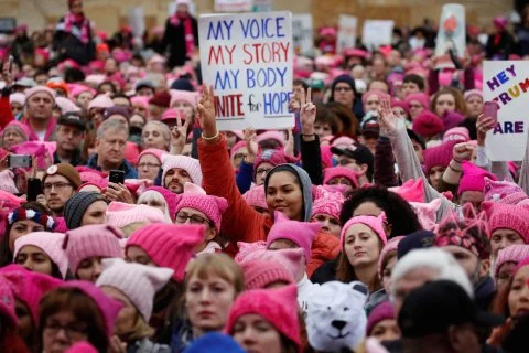 Pussy Hats.jpeg