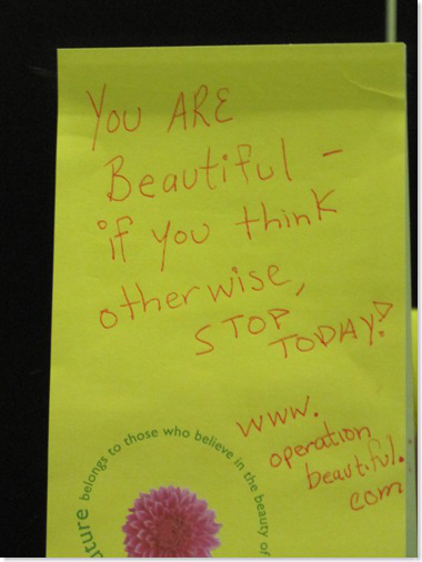 Photo taken from operationbeautiful.com