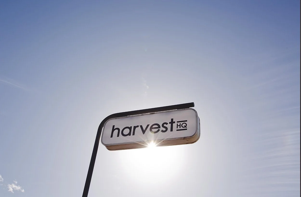 Harvest HQ - Brand and Logo Development