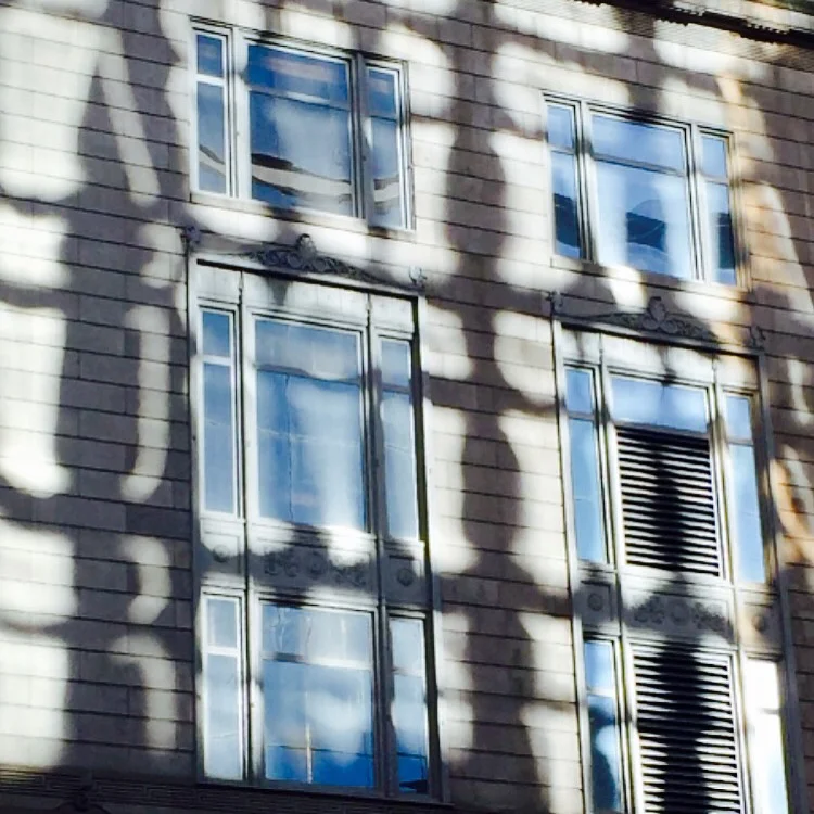 Shadow Lace