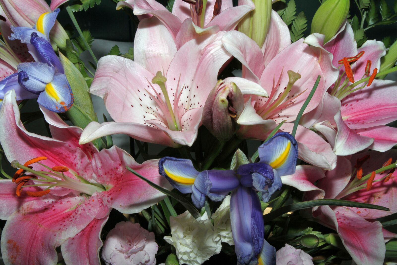 Cut flower arrangement .