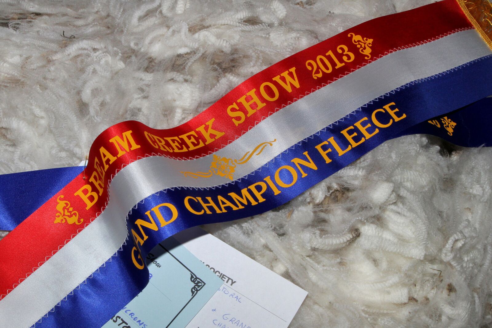 The winning fleece.