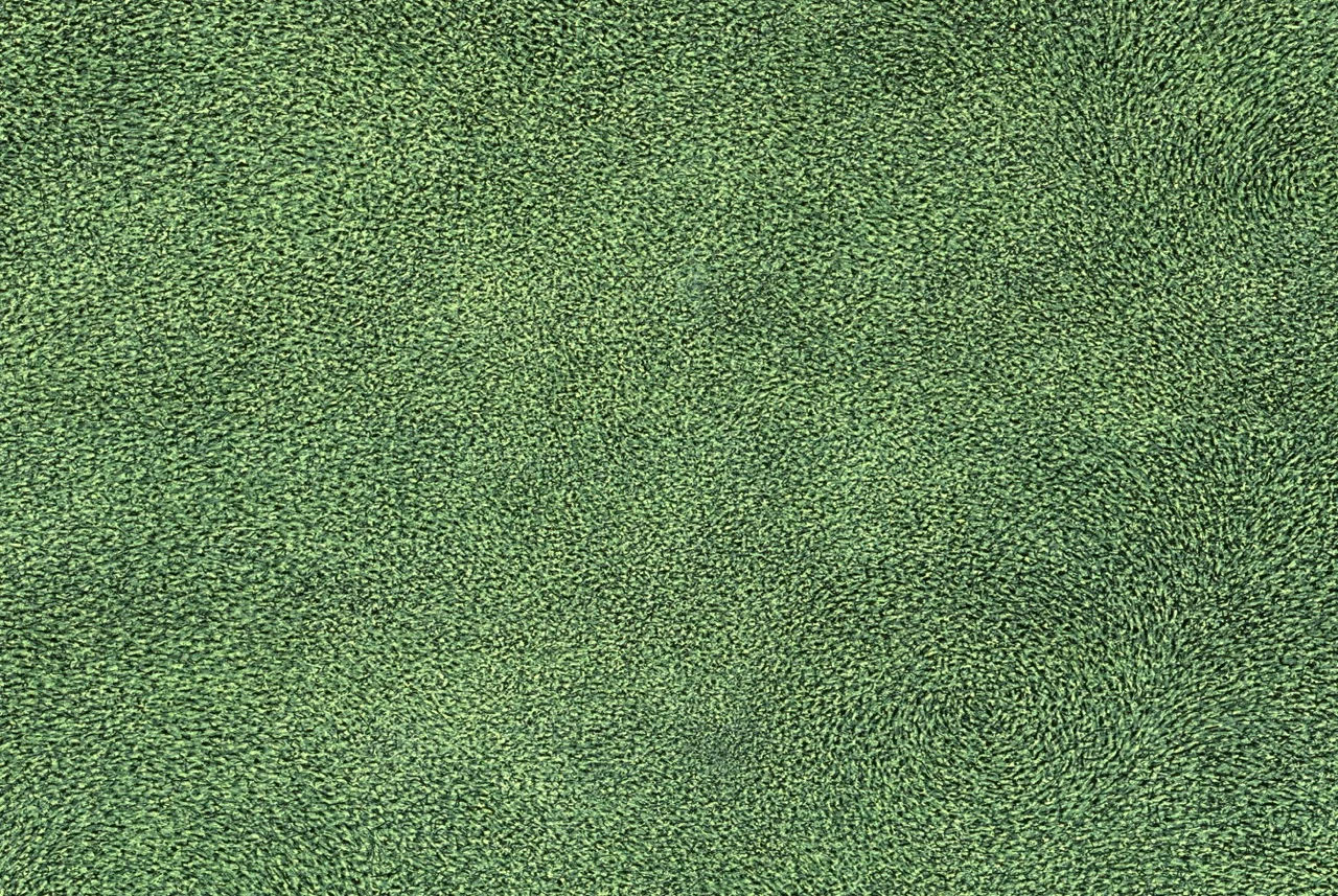 Invisibility (detail)