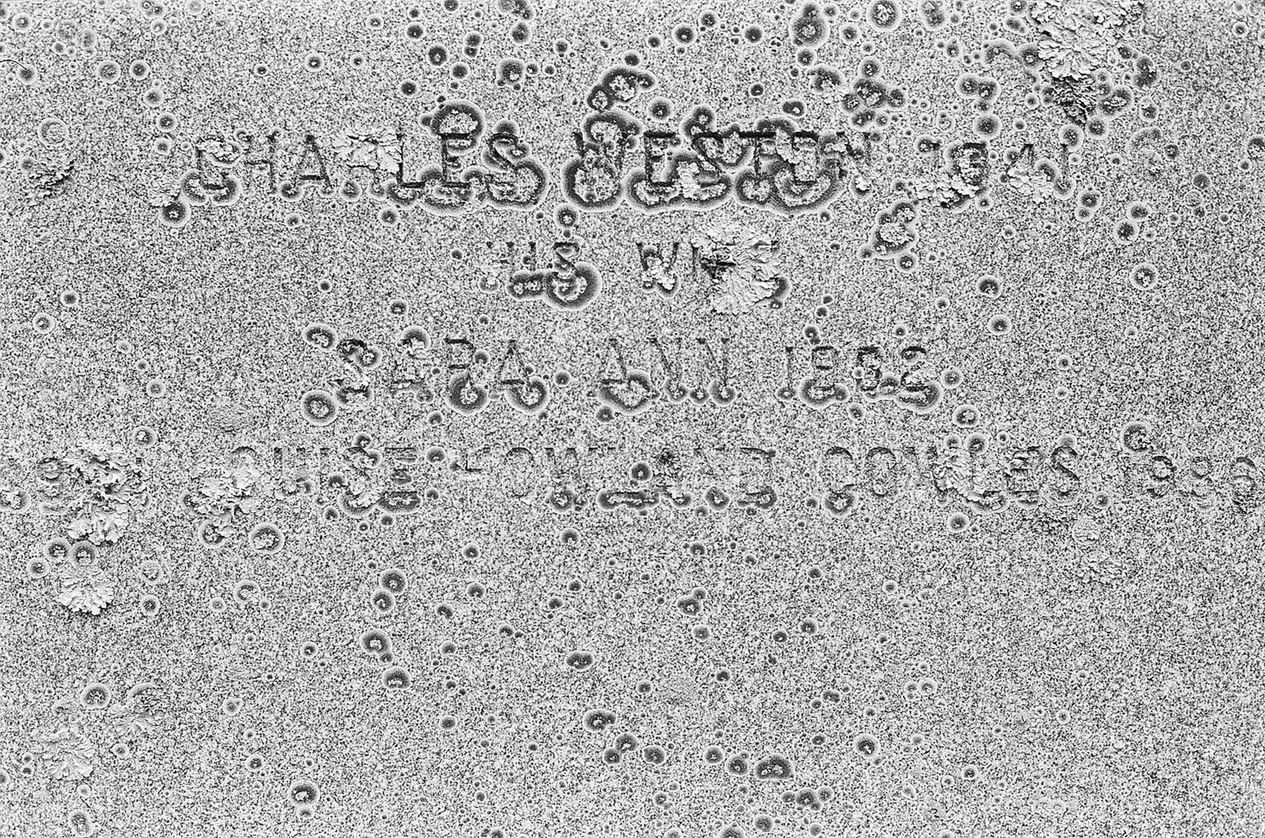 000449300001.jpg