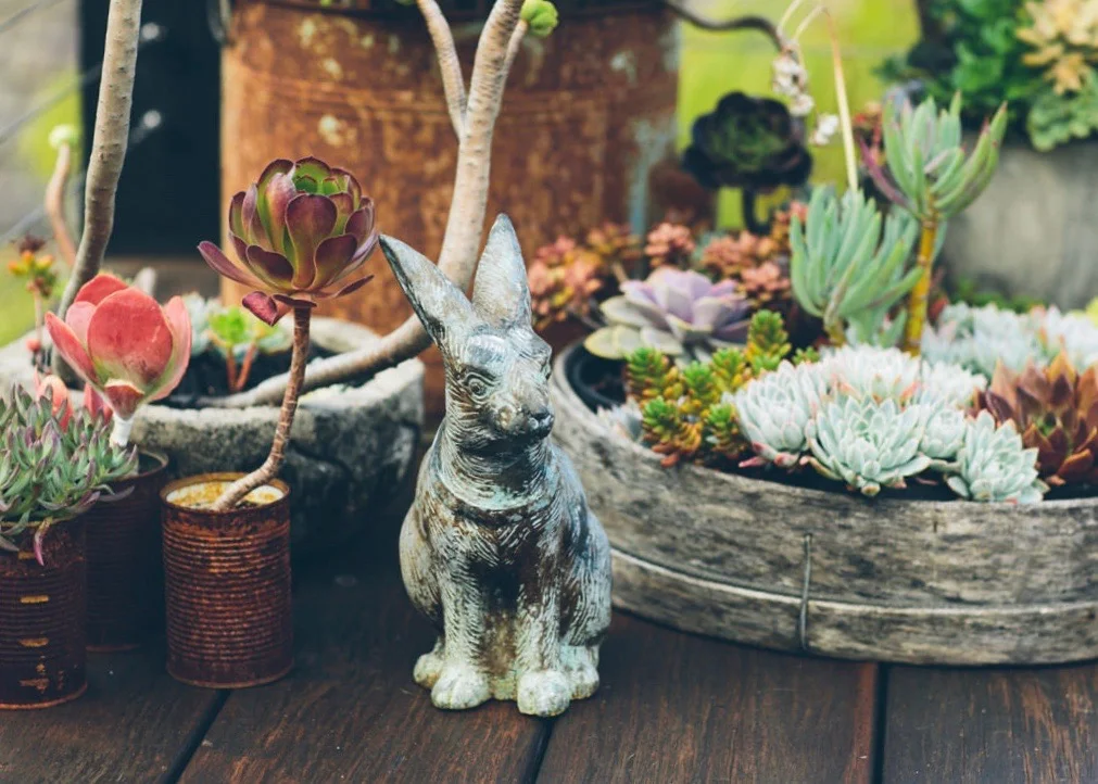 Projekt 3488 Mel+Jess Bunny.JPG