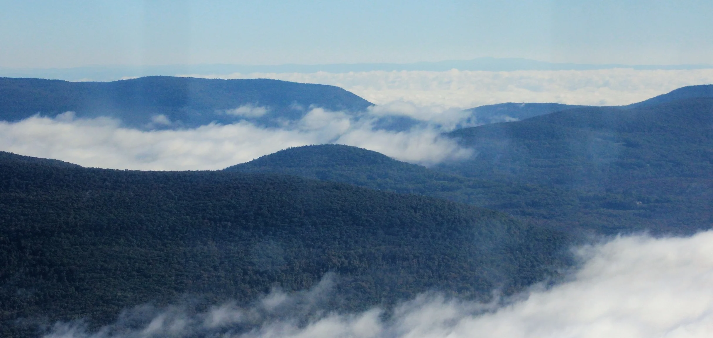 Friday Program at 6pm in Carstensen Hall, "Why Am I Here, What Is My Purpose?"